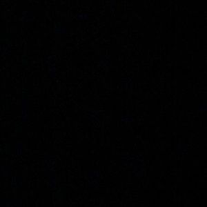 Meet your Posher, Gavin